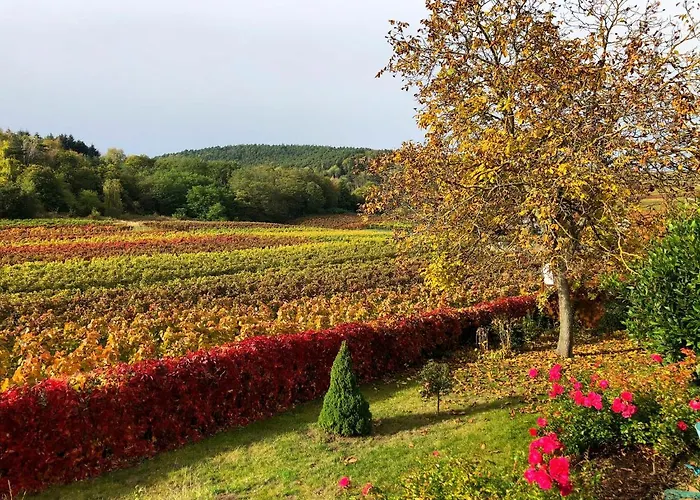 Apartamento Am Weinberg By Interhome Bad Dürkheim