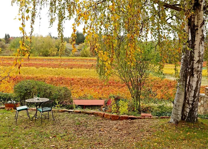 Apartamento Am Weinberg By Interhome Bad Dürkheim