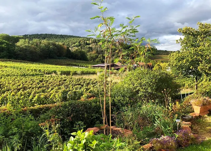 Am Weinberg By Interhome Apartamento *